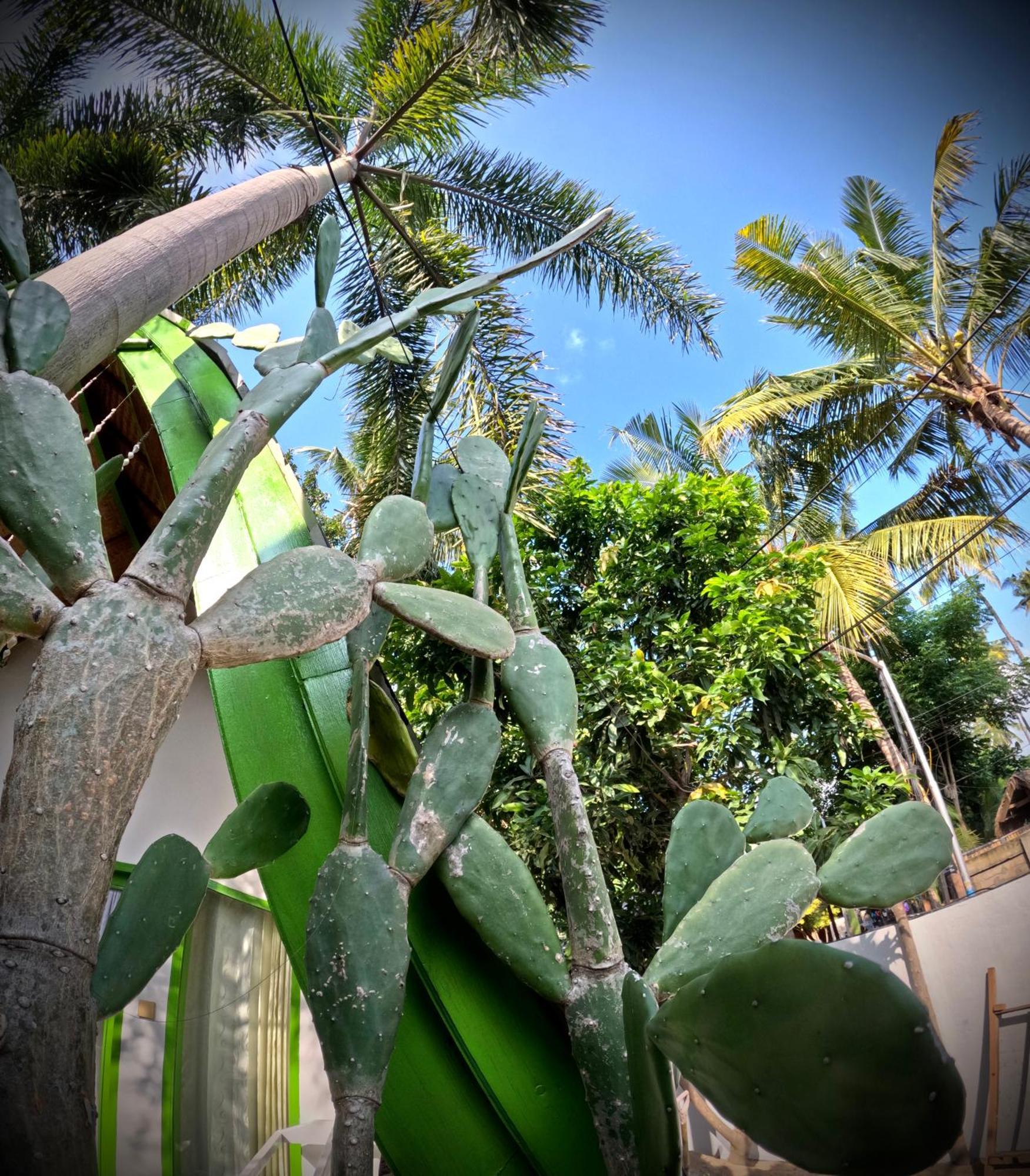 Kaktus Bungalow 2 Gili Air Dış mekan fotoğraf